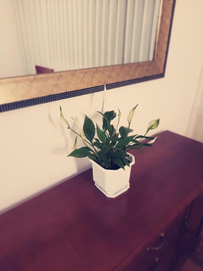 Apartman Peregrinus Кореница Екстер'єр фото